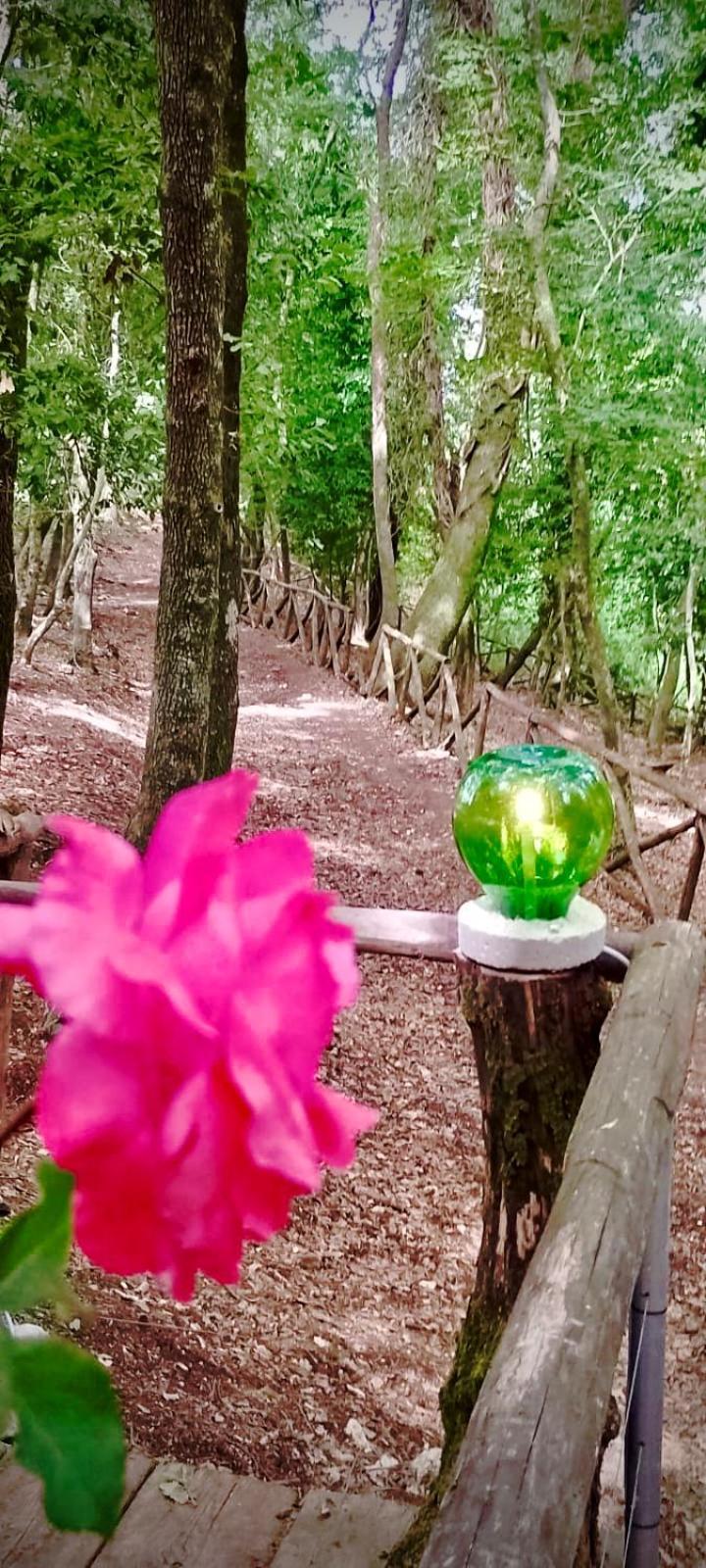 Agriturismo Parco Dai Nonni Іскітелла Екстер'єр фото